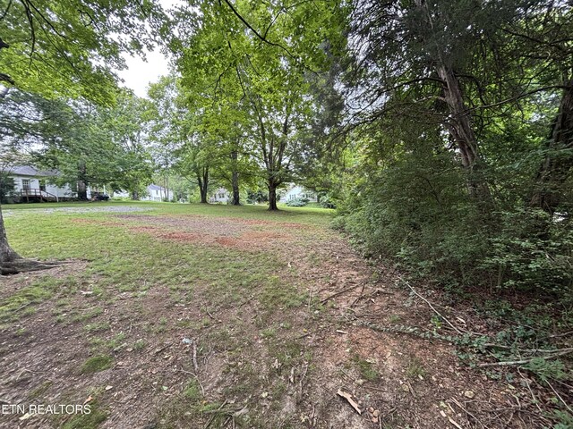 0 NE Eldridge Rd, Knoxville, TN 37918 - photo 11