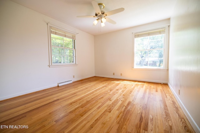 7102 Cheshire Dr, Knoxville, TN 37919 - photo 35