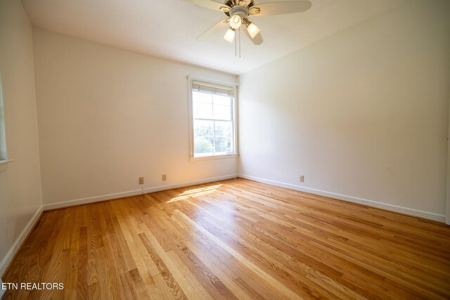 7102 Cheshire Dr, Knoxville, TN 37919 - photo 34