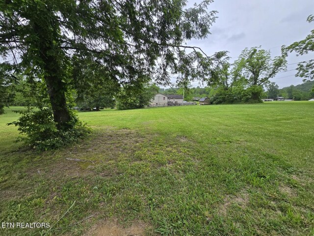 2365 Mountain View Rd, Robbins, TN 37852