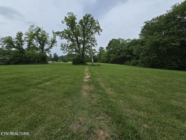2365 Mountain View Rd, Robbins, TN 37852