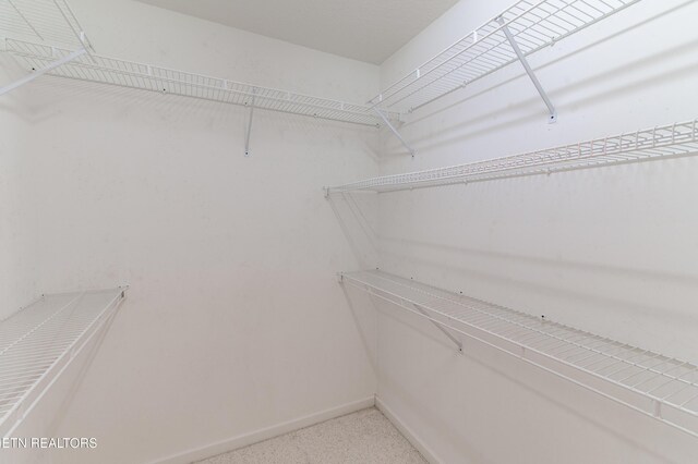 9922 Dayflower Way, Knoxville, TN 37932 - photo 32