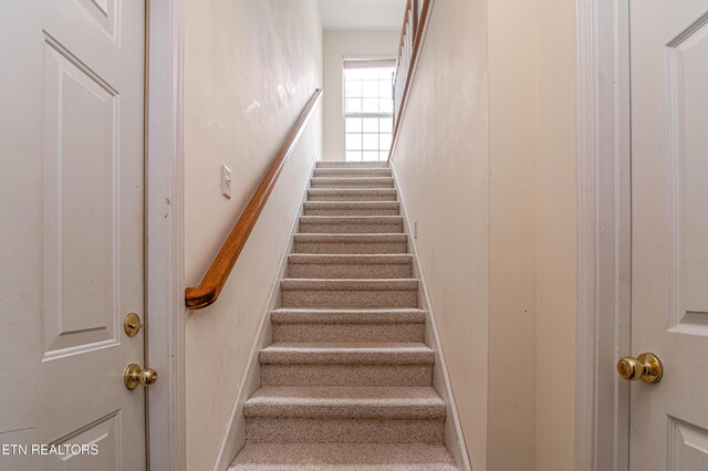 9922 Dayflower Way, Knoxville, TN 37932 - photo 40