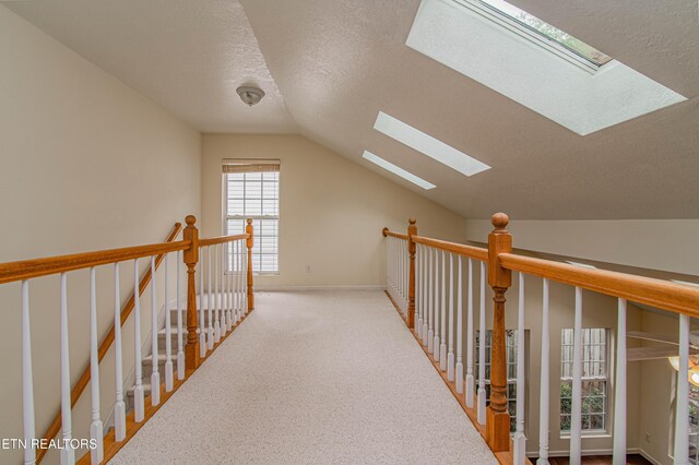 9922 Dayflower Way, Knoxville, TN 37932 - photo 42