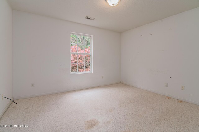 9922 Dayflower Way, Knoxville, TN 37932 - photo 49