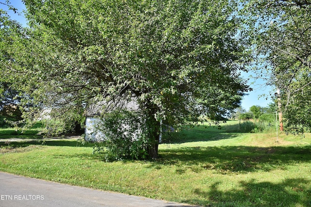 387 Price Dr, Speedwell, TN 37870 - photo 37