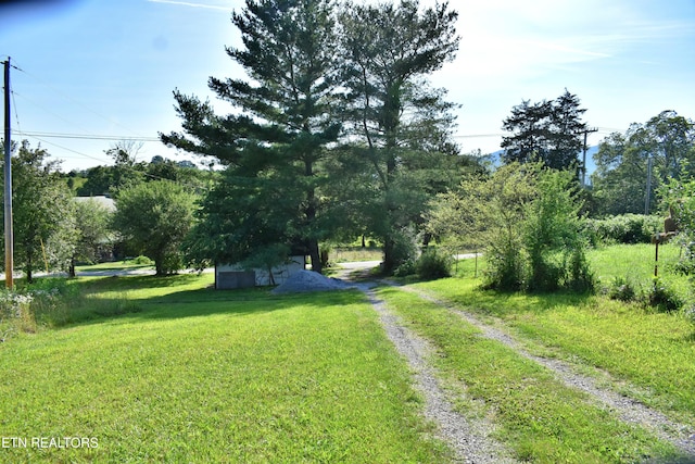 387 Price Dr, Speedwell, TN 37870 - photo 45