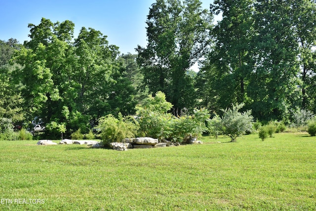387 Price Dr, Speedwell, TN 37870 - photo 47