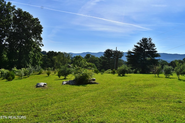387 Price Dr, Speedwell, TN 37870 - photo 48