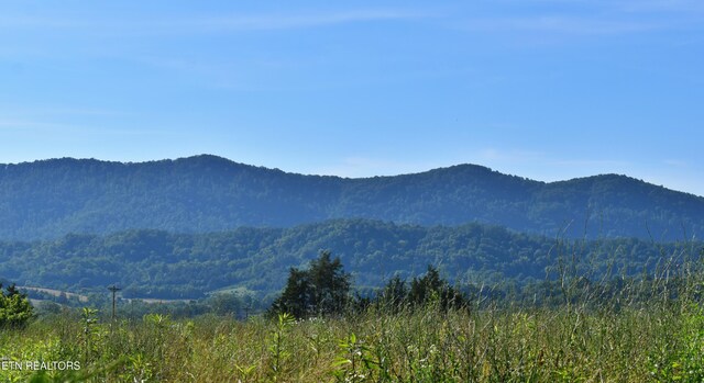 387 Price Dr, Speedwell, TN 37870 - photo 52