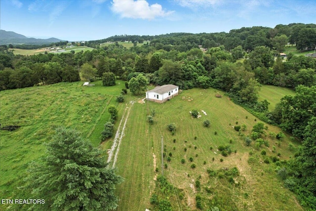 387 Price Dr, Speedwell, TN 37870 - photo 3