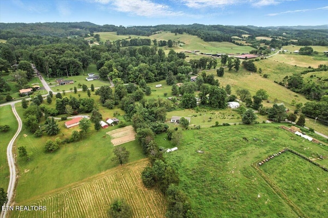 387 Price Dr, Speedwell, TN 37870 - photo 59