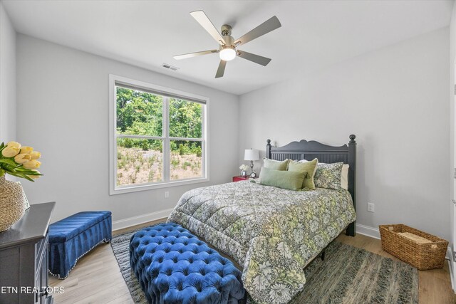 174 Bittersweet Ln, Lenoir City, TN 37771 - photo 25