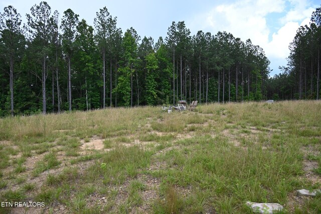 1508 Thomas Springs Rd, Crossville, TN 38572 - photo 16