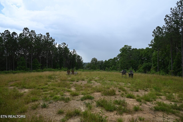 1508 Thomas Springs Rd, Crossville, TN 38572 - photo 4