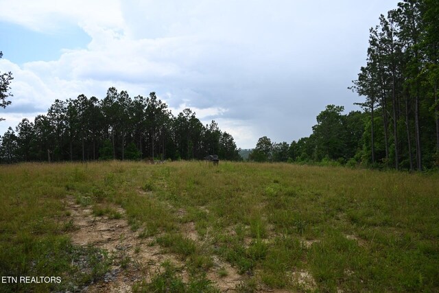 1508 Thomas Springs Rd, Crossville, TN 38572 - photo 18
