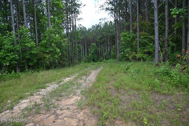1508 Thomas Springs Rd, Crossville, TN 38572 - photo 5