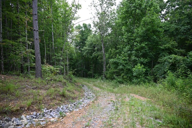 1508 Thomas Springs Rd, Crossville, TN 38572 - photo 6