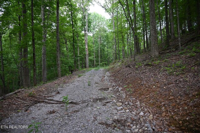 1508 Thomas Springs Rd, Crossville, TN 38572 - photo 7
