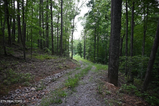 1508 Thomas Springs Rd, Crossville, TN 38572 - photo 2