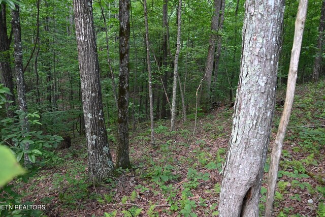 1508 Thomas Springs Rd, Crossville, TN 38572 - photo 10