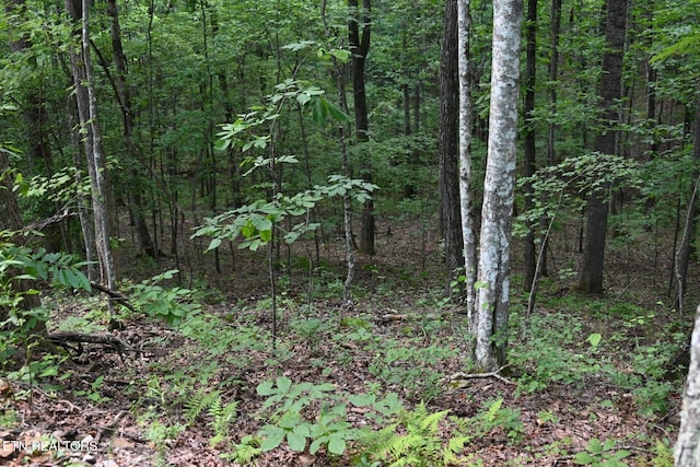 1508 Thomas Springs Rd, Crossville, TN 38572 - photo 11