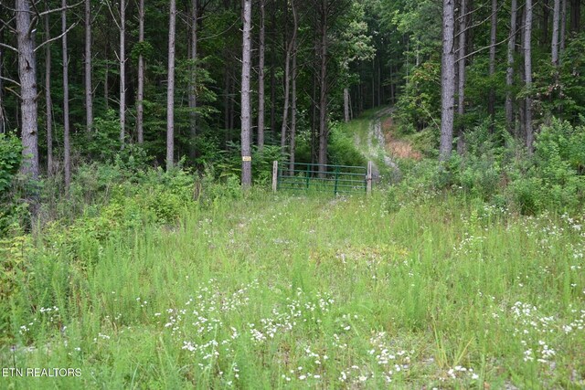 1508 Thomas Springs Rd, Crossville, TN 38572 - photo 14