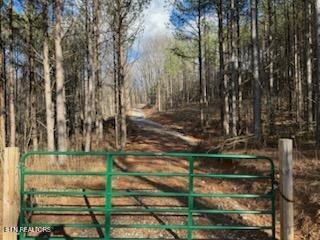 1508 Thomas Springs Rd, Crossville, TN 38572 - photo 22