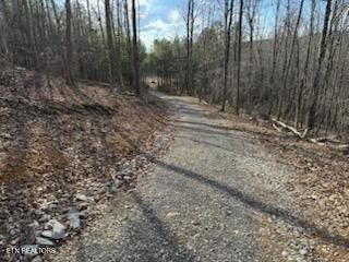 1508 Thomas Springs Rd, Crossville, TN 38572 - photo 23