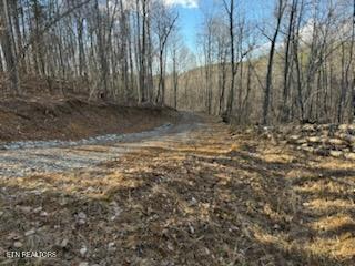 1508 Thomas Springs Rd, Crossville, TN 38572 - photo 26