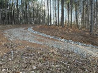 1508 Thomas Springs Rd, Crossville, TN 38572 - photo 27