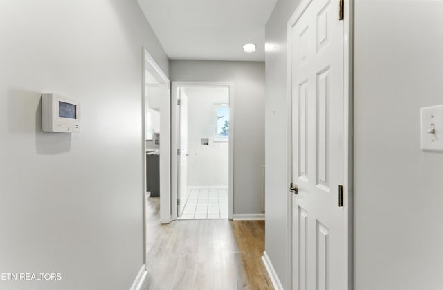 8808 Cedar Springs Ln, Knoxville, TN 37923 - hall with light wood-style floors and baseboards