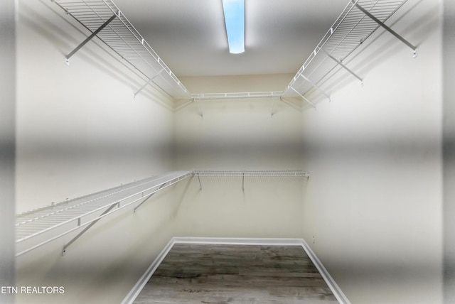 8808 Cedar Springs Ln, Knoxville, TN 37923 - walk in closet featuring wood finished floors