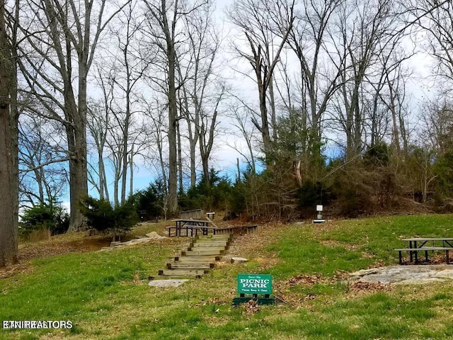 94 Swan Song Trl, Sharps Chapel, TN 37866 - photo 12