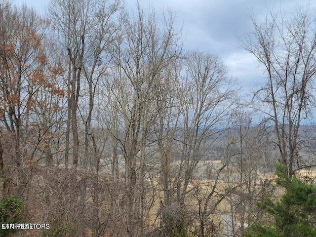 94 Swan Song Trl, Sharps Chapel, TN 37866 - photo 18