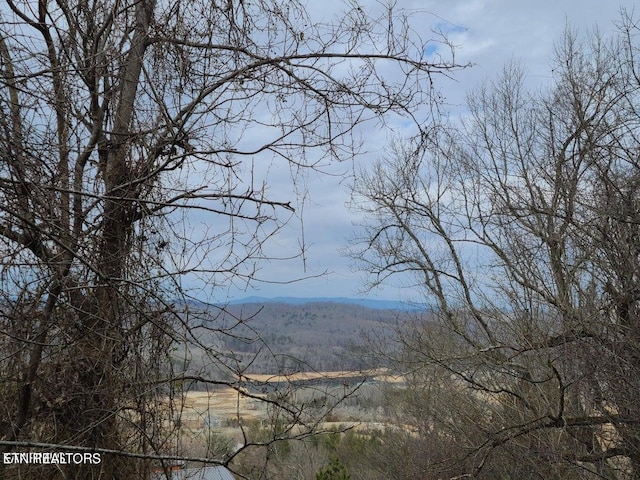 94 Swan Song Trl, Sharps Chapel, TN 37866 - photo 19