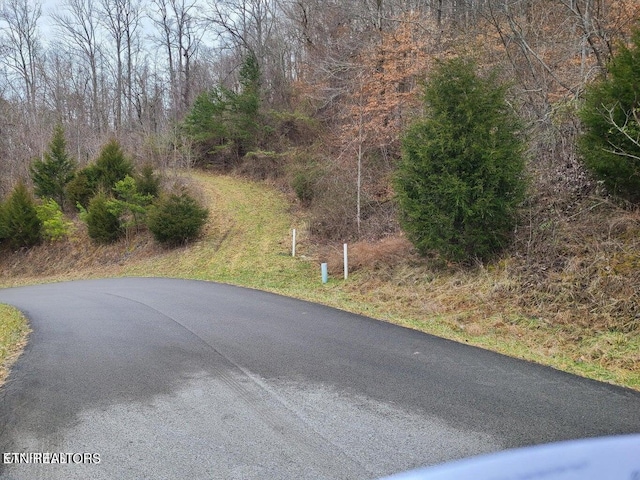 94 Swan Song Trl, Sharps Chapel, TN 37866 - photo 20