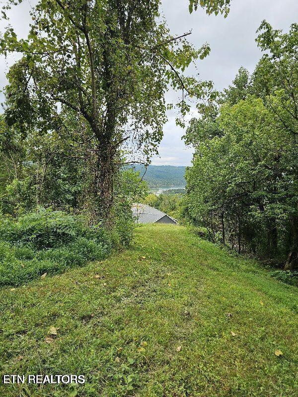 94 Swan Song Trl, Sharps Chapel, TN 37866 - photo 23