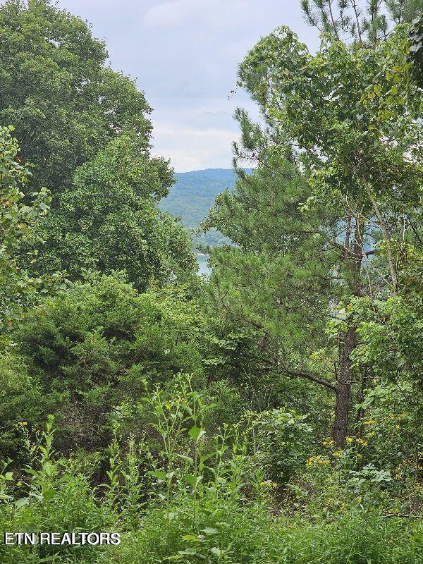 94 Swan Song Trl, Sharps Chapel, TN 37866 - photo 24