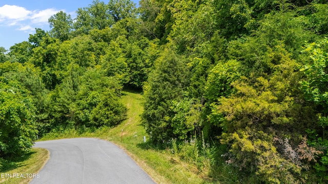 94 Swan Song Trl, Sharps Chapel, TN 37866 - photo 8