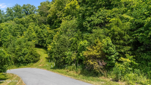 94 Swan Song Trl, Sharps Chapel, TN 37866 - photo 9