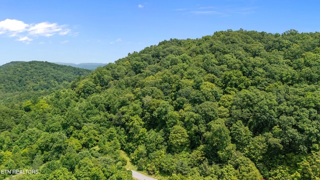 94 Swan Song Trl, Sharps Chapel, TN 37866 - photo 10