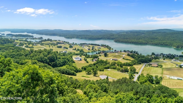94 Swan Song Trl, Sharps Chapel, TN 37866 - photo 6