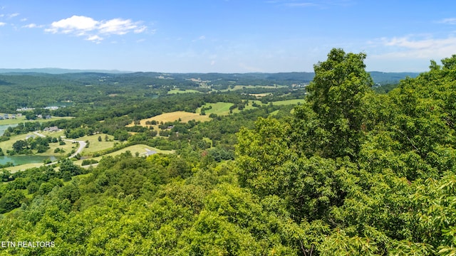 94 Swan Song Trl, Sharps Chapel, TN 37866 - photo 31