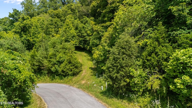 94 Swan Song Trl, Sharps Chapel, TN 37866 - photo 4