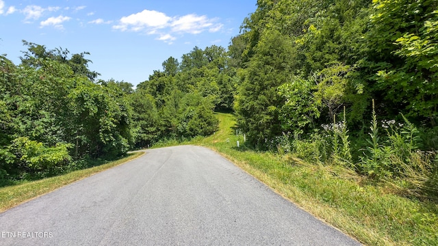 94 Swan Song Trl, Sharps Chapel, TN 37866 - photo 5