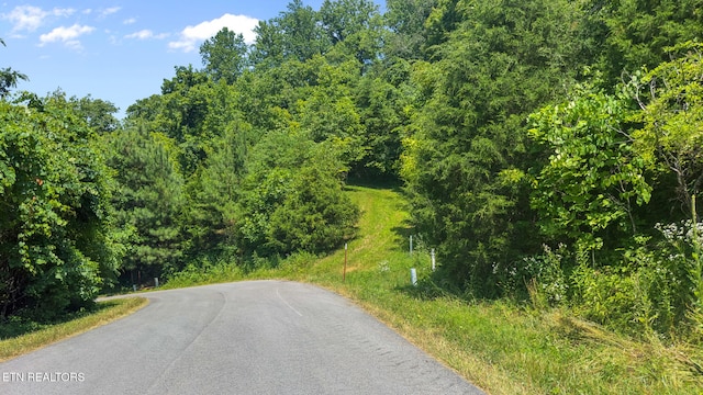 94 Swan Song Trl, Sharps Chapel, TN 37866 - photo 3