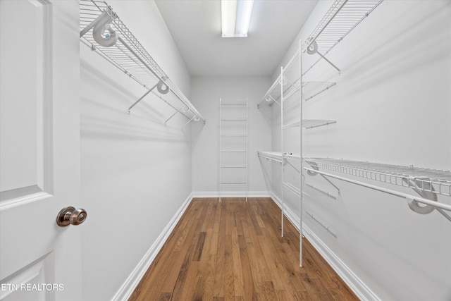 1269 Bentley Park Ln, Knoxville, TN 37922 - walk in closet with wood finished floors