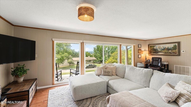 300 Clearfield Rd, Knoxville, TN 37922 - living area featuring light wood finished floors, plenty of natural light, a textured ceiling, and crown molding