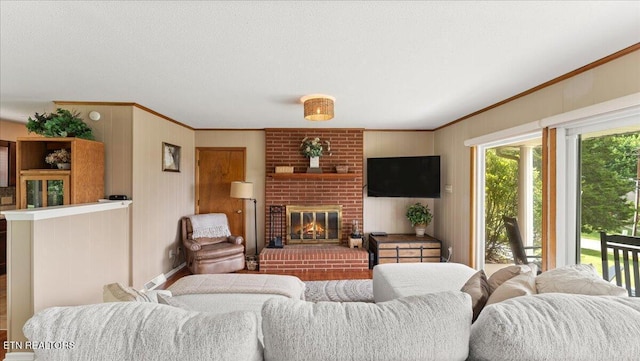 300 Clearfield Rd, Knoxville, TN 37922 - living room with ornamental molding and a fireplace